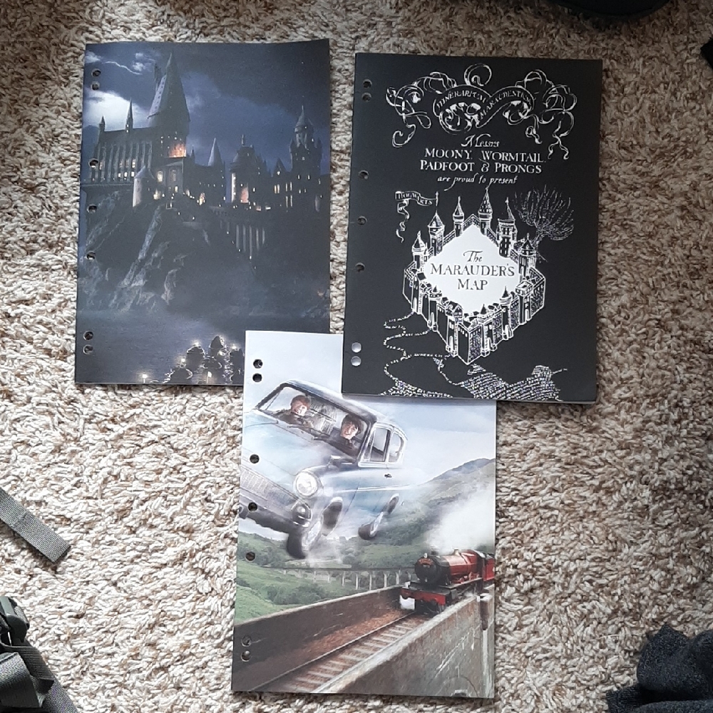 Set of Three Harry Potter Notebooks